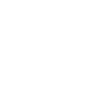 Syntax Institut